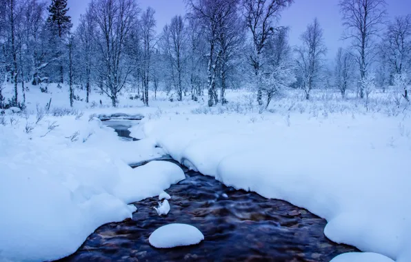 Winter, snow, trees, the snow, river, Finland, Finland, Lapland