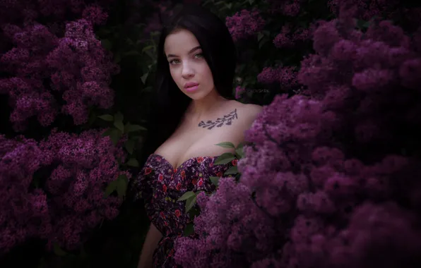 Look, girl, tattoo, neckline, lilac, Angelina Sorokina, Alexander Drobkov-Dark