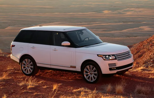 White, Land Rover, Range Rover, Land Rover, Range Rover, Supercharged, the front.background