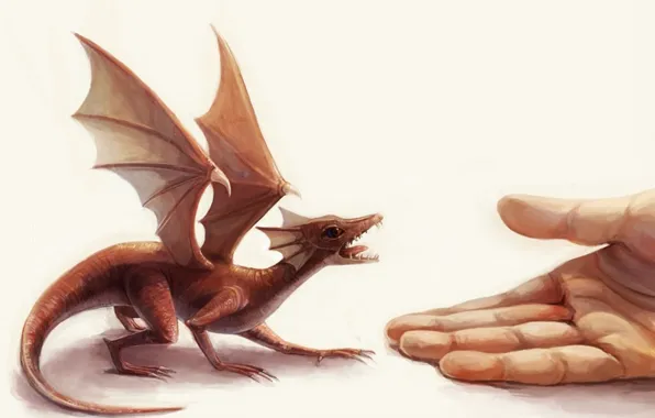 Picture dragon, hand, wings, Small, palm