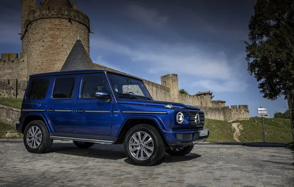 Blue, castle, Mercedes-Benz, SUV, 4x4, 2018, G-Class, G 500