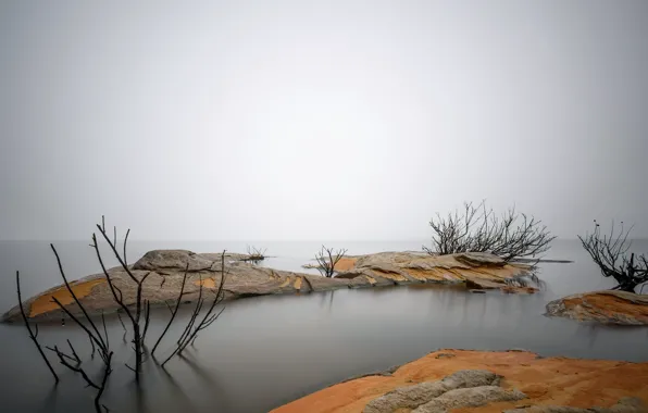 Picture sea, fog, shore