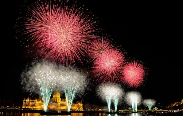 Night, salute, fireworks, Parliament, Hungary, Budapest
