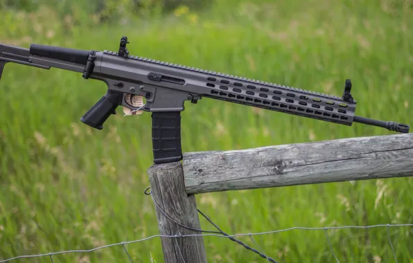 Style, weapons, assault rifle, Arms XCR