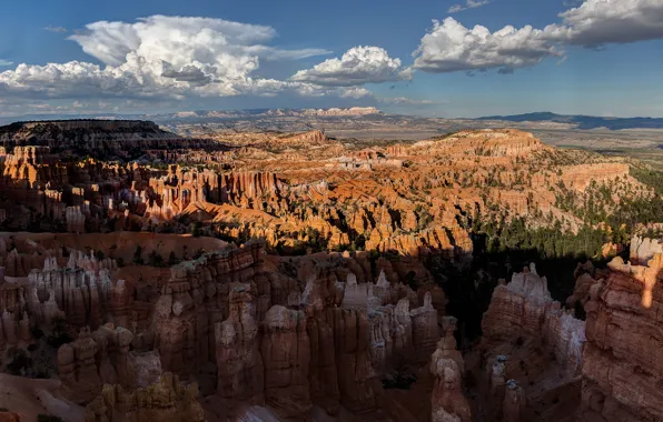 Rock, usa, utah, bryce canyon