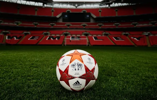 Picture field, lawn, football, the ball, gate, tribune, stadium, Champions League