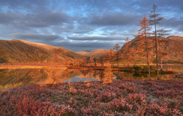 Autumn, trees, landscape, mountains, clouds, nature, lake, vegetation