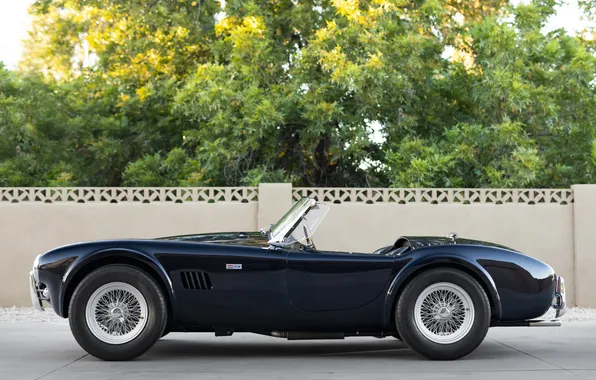 Black, Shelby, retro cars, 1963, Shelby Cobra, the only instance, Cobra 289, sports cars