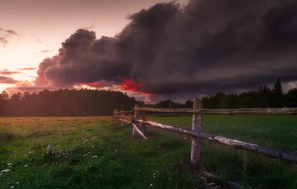 The storm, forest, summer, the sky, grass, clouds, the fence, pasture