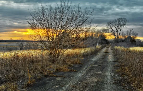 Picture road, sunset, nature