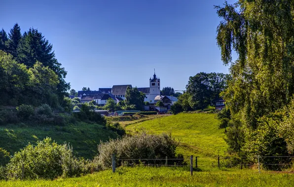 Grass, trees, the city, photo, the fence, Germany, Lutzerat