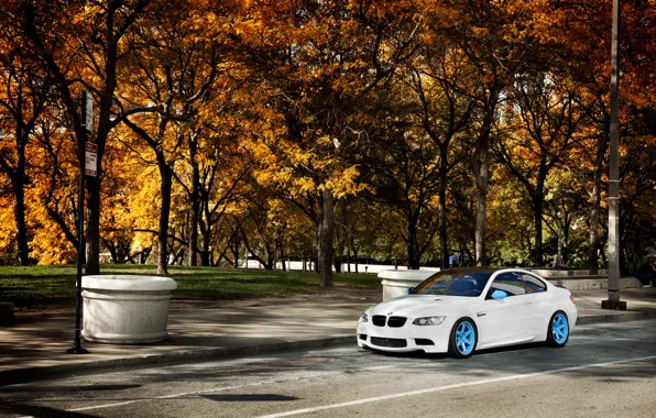 Autumn, white, trees, BMW, BMW, white, E92, IND
