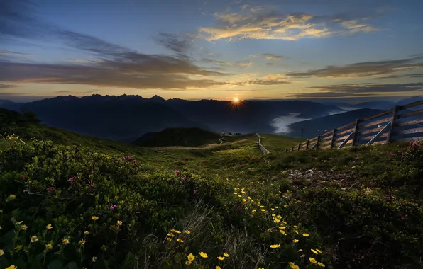 Picture the sun, flowers, mountains, dawn, the fence