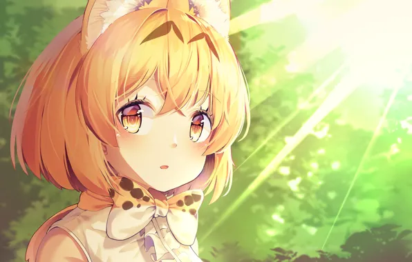 Girl, Kemono Friends, Long-eared friends