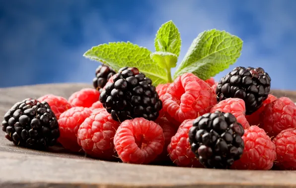 Picture berries, raspberry, leaves, BlackBerry, blackberry, raspberry
