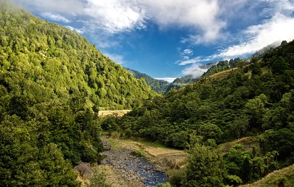 Forest, the sky, clouds, trees, mountains, stream, stones, New Zealand