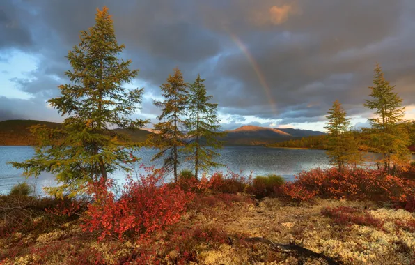 Picture autumn, trees, mountains, lake, rainbow, Russia, Magadan oblast, The Lake Of Jack London