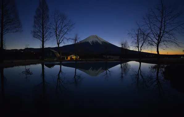 Picture trees, lights, lake, house, the evening, Japan, mount Fuji