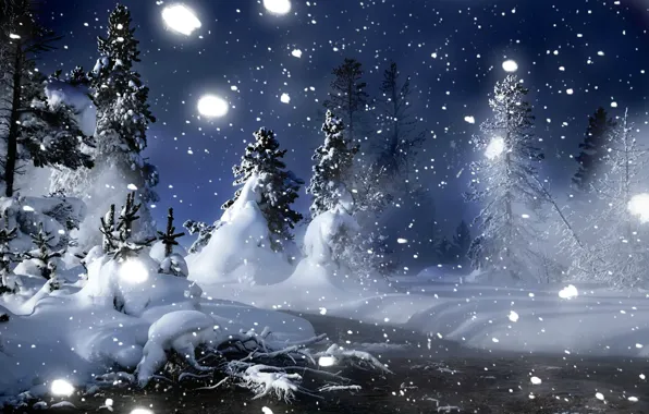 Picture winter, forest, snow, trees, snowflakes, night, stream, the snow