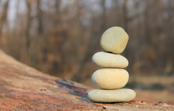 Picture stones, minimalism, Zen, balance