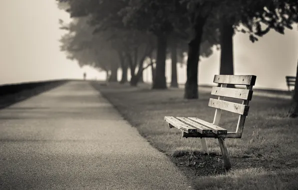 Picture the city, street, bench