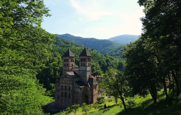 Greens, forest, the sky, the sun, trees, mountains, castle, France