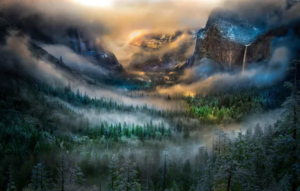 Winter, forest, mountains, fog, dawn, waterfall, valley, California