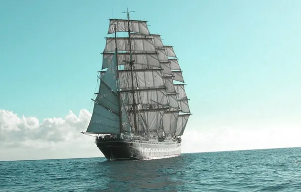 Sea, the way, sailboat, sails