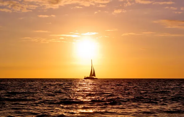 Picture sea, water, sunset, The ocean, yacht, sails
