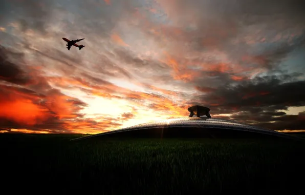The sky, aviation, transport, landscapes, technique, aircraft, airports