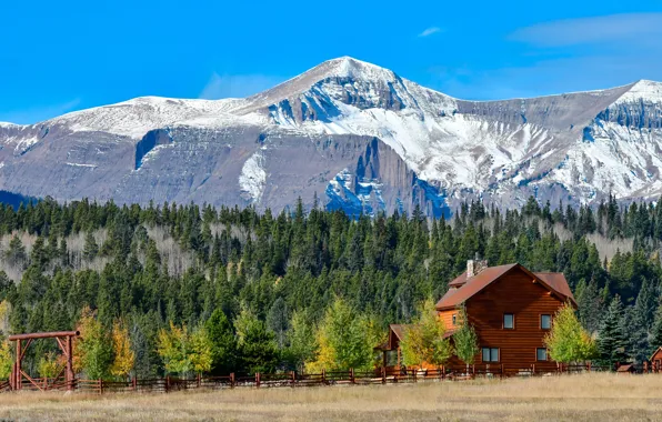 Picture field, autumn, forest, the sky, grass, the sun, clouds, trees