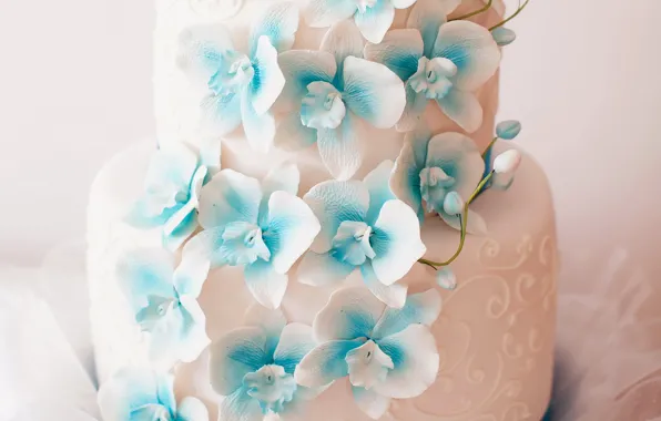 Flowers, cake, decoration, wedding, sweet, Orchid, wedding, Cakes