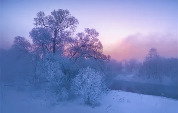 Winter, snow, trees, river, dawn, morning, Russia, frost