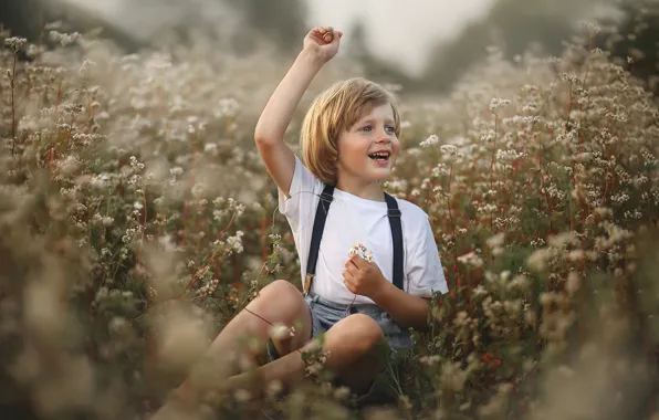 Picture joy, nature, boy, grass, child, Arlauskaite Buloviene Vilma