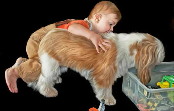 Background, toys, child, dog, boy, black, toy, art