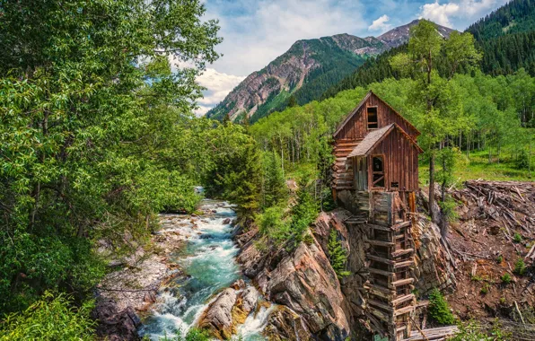 Forest, trees, mountains, river, Colorado, water mill, Colorado, Crystal