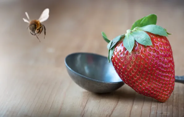 Macro, berries, bee, table, background, food, cute, strawberry