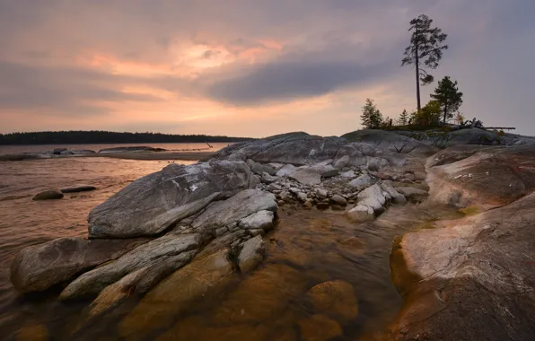 Water, Forest, Stone, The sky, The influx, The Shore Line, Layers