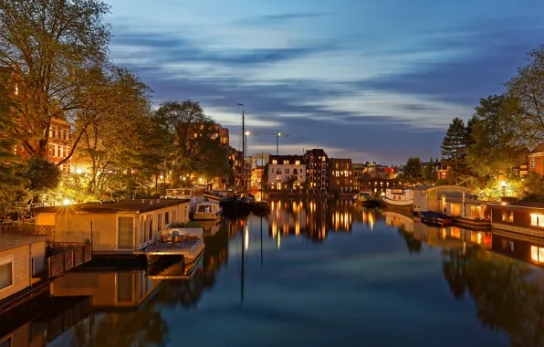 The sky, trees, lights, river, home, yachts, boats, the evening