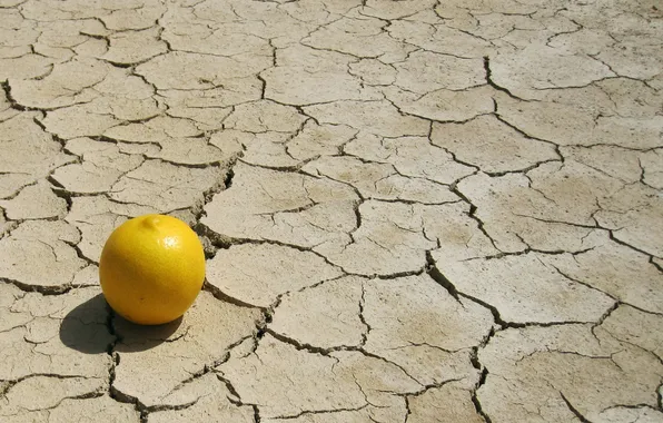 Picture lemon, shadows, dry land