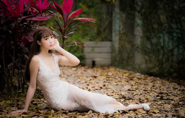 Girl, dress, Asian, cutie