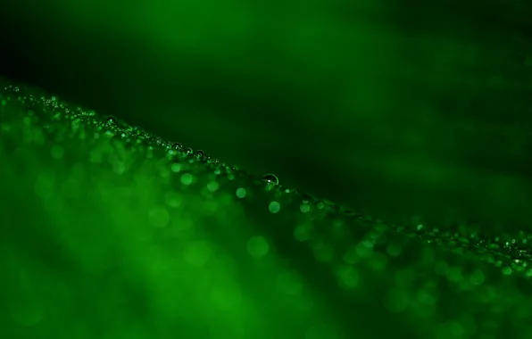 Drops, macro, green, bokeh, leaf