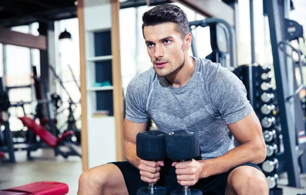 Muscle, muscle, training, athlete, dumbbells, biceps, fitness, training