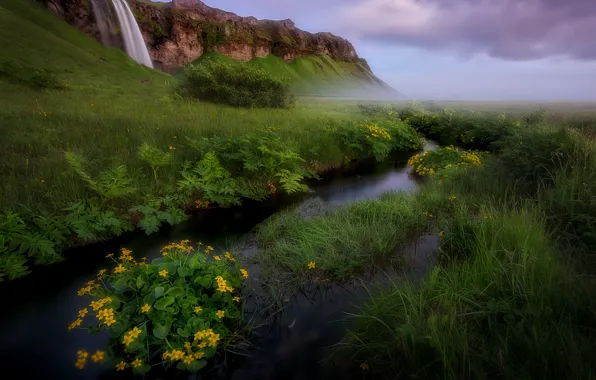 Greens, grass, flowers, mountains, nature, river, stream, waterfall