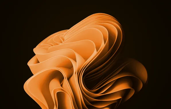 Abstract, dark, yellow, brown, pasta, bloom, pasta, windows 11