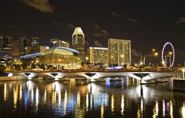 Picture night, bridge, the city, river, home, the hotel, Singapore, singapur