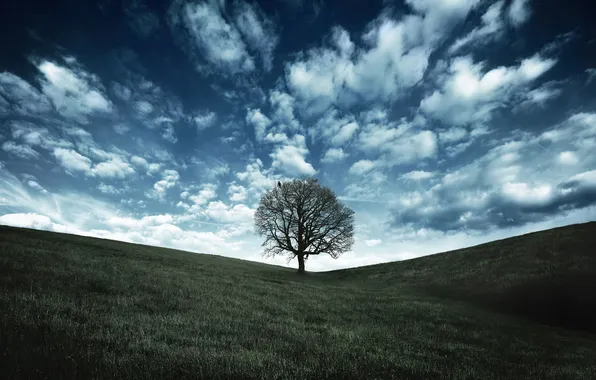 Picture greens, the sky, grass, clouds, trees, nature, tree, hills