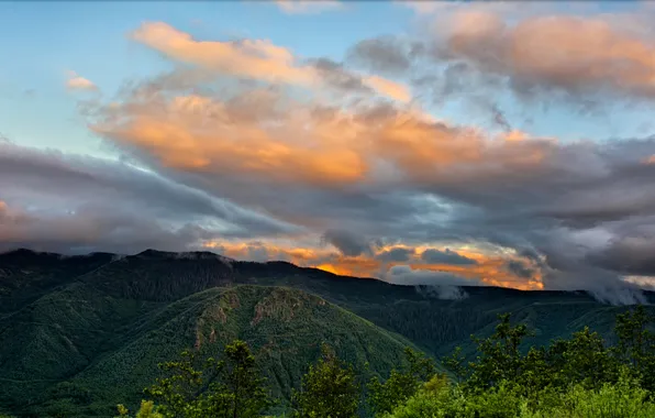 Forest, clouds, sunset, mountains, USA, Washington, Mount St. Helens