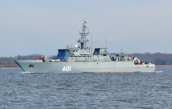 Navy, basic, minesweeper, Ivan Antonov, project 2700