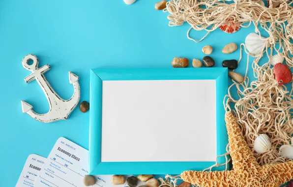 Sea, network, shell, starfish, sea, frame, anchor, the difference